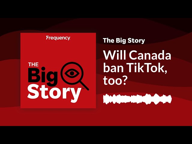 ⁣Will Canada ban TikTok, too? | The Big Story