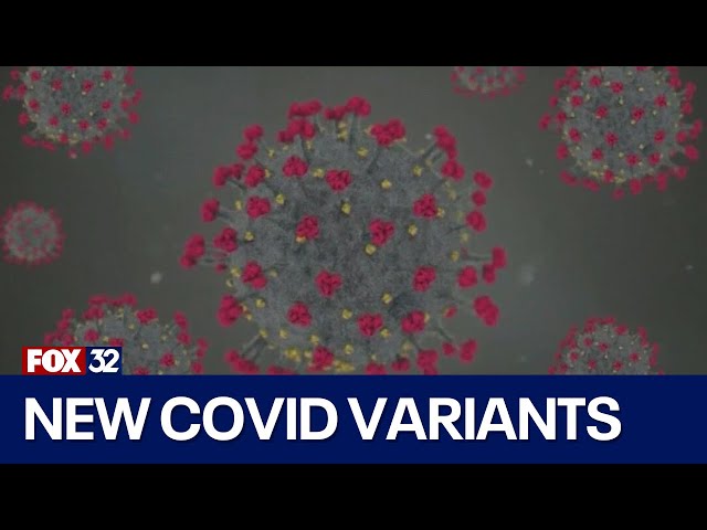 ⁣New COVID FLiRT variants spread across U.S.: Here's what you need to know