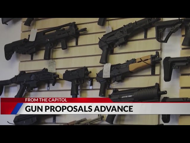 ⁣Several gun bills advance following end of legislative session