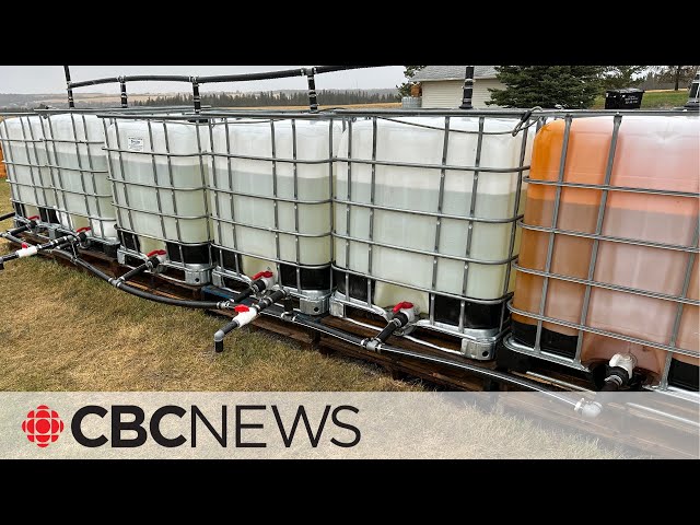 ⁣Alberta rain barrel enthusiast prepares for dry summer