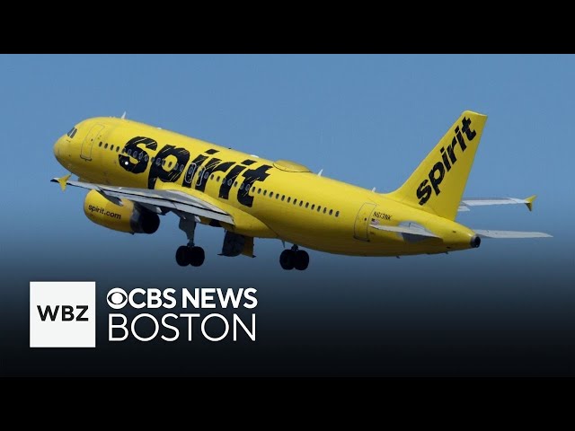 ⁣2 passengers banned from Spirit Airlines after getting into physical fight on plane