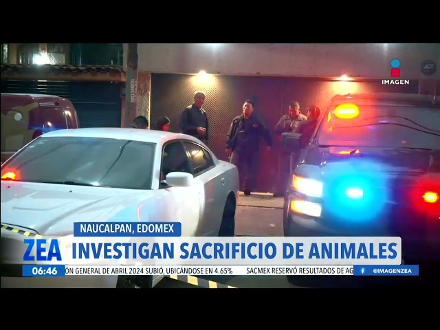 ⁣Investigan probable caso de maltrato animal en Naucalpan, Edoméx | Noticias con Francisco Zea
