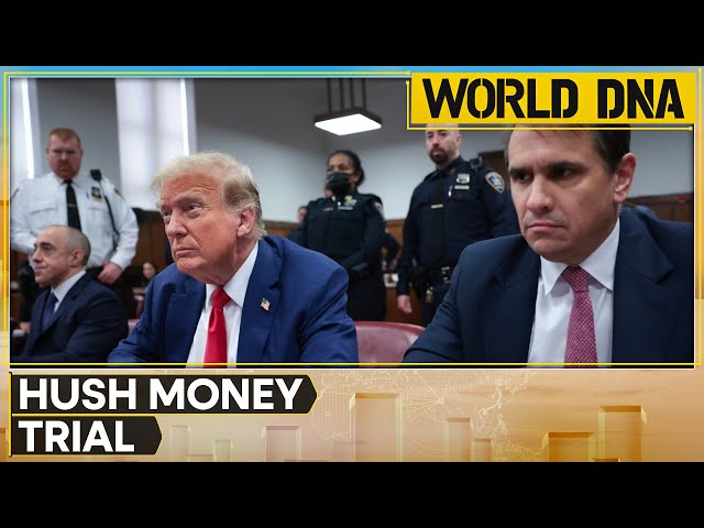 ⁣Hush Money Trial: Donald Trump's lawyer says 'Stormy Daniels is making money with her stor