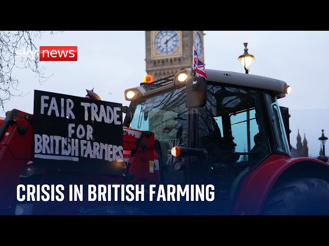⁣Faultlines: Struggling farmers face uncertain future post-Brexit