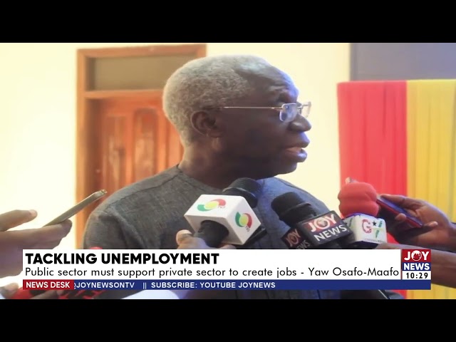 ⁣Tackling Unemployment: Public sector must support private sector to create jobs - Yaw Osafo-Maafo