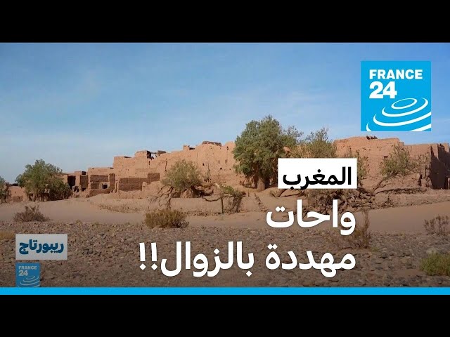 ⁣واحات جنوب المغرب "الساحرة" مهددة بالزوال!! • فرانس 24