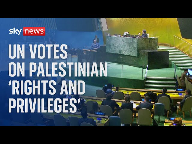 ⁣Watch live: UN vote on Palestinian 'rights and privileges'