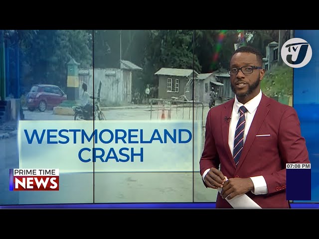 ⁣Westmoreland Crash | Reducing Stray Animal Nightmare | TVJ News