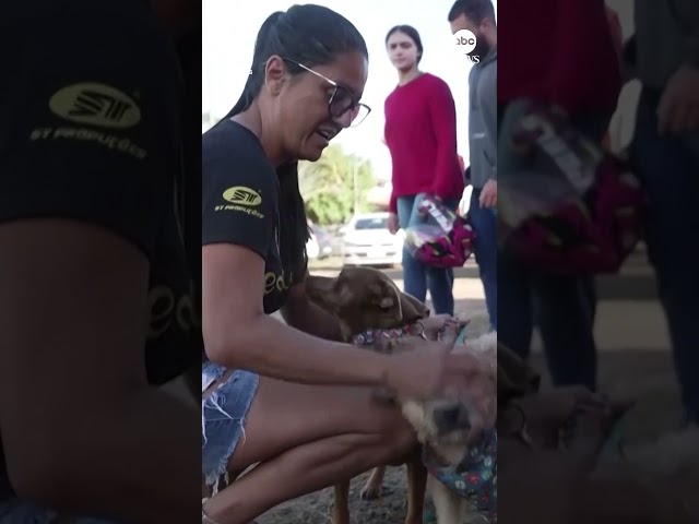 ⁣Pet owners in Brazil reunited with dogs after severe flooding