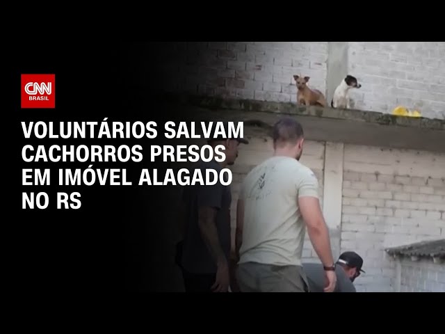 ⁣Voluntários salvam cachorros presos em imóvel alagado no RS | CNN 360º