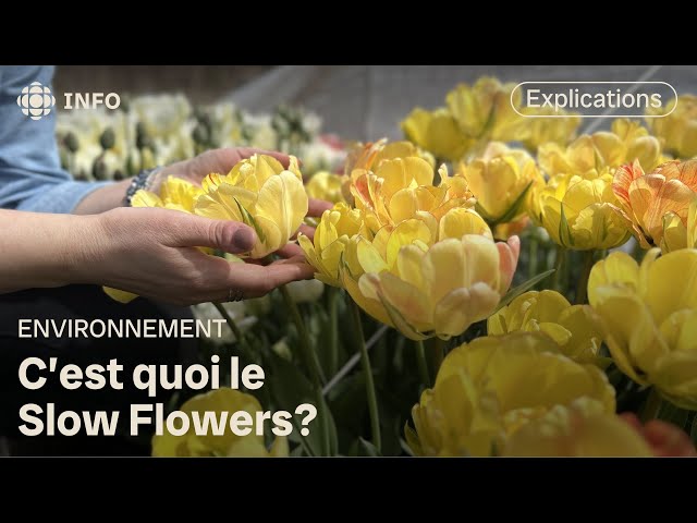 ⁣Slow Flowers : faire une fleur à l’environnement