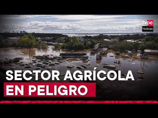 ⁣El poderoso sector agrícola brasileño pagará el precio de las inundaciones históricas