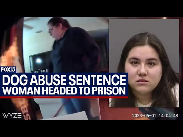 ⁣Woman gets 5 years in prison for abusing dog