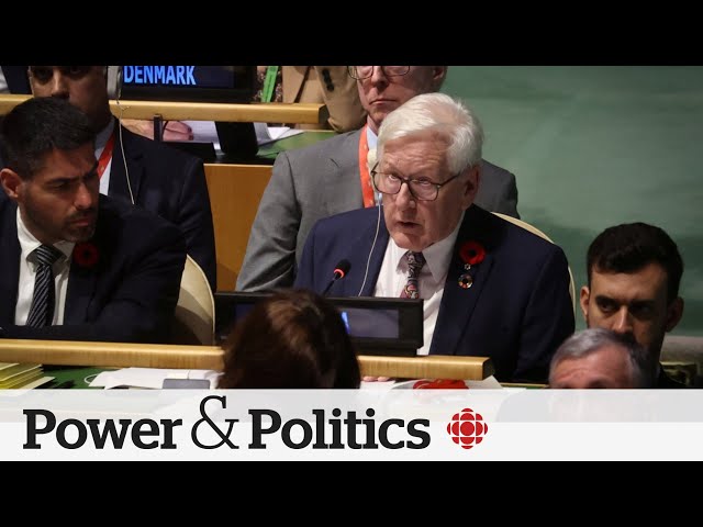 ⁣Canada has 'many steps' to take before recognizing Palestinian state: Bob Rae | Power &