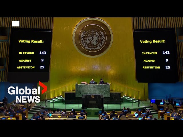 ⁣UN General assembly backs Palestinian bid to become full member