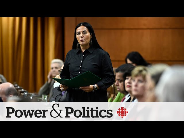 ⁣Federal minister says she came to Canada for a safe abortion | Power & Politics