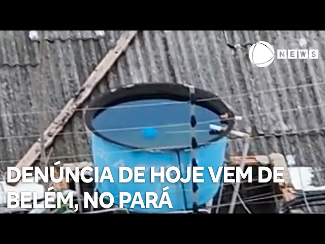 ⁣Record News contra a dengue: denúncia de hoje vem do Belém, no Pará