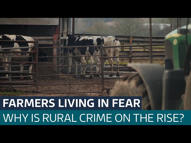 ⁣Farmers fearful as criminal gangs drive machinery black market | ITV News