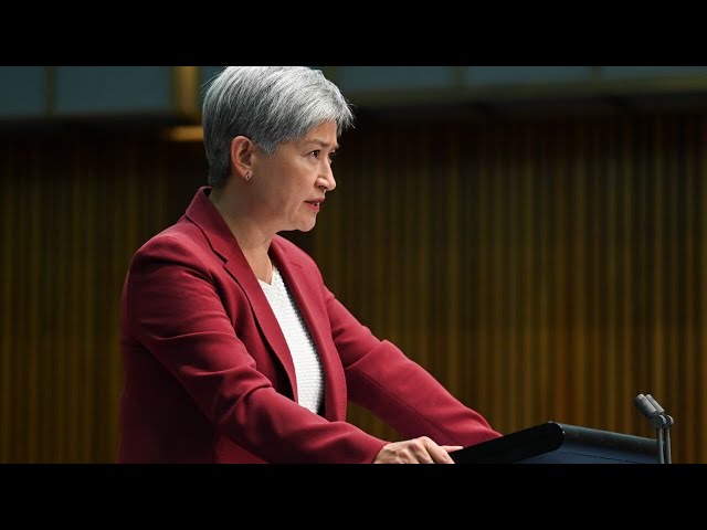 ⁣‘Rejection of Hamas’: Penny Wong on Australia’s UN vote in favour of Palestine membership
