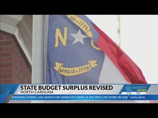 ⁣State economists expect lower surplus