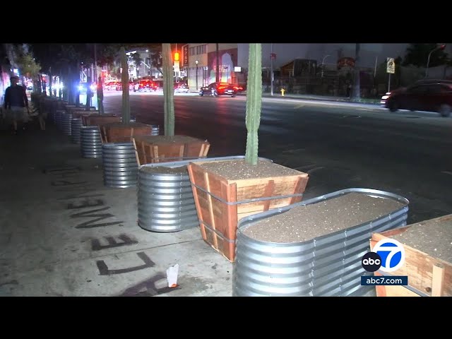 Hollywood businesses set up garden beds, planters along sidewalk to clear homeless encampments