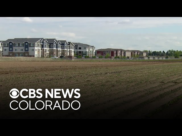 ⁣Worry surrounds Palizzi Farms after Colorado city grants eminent domain