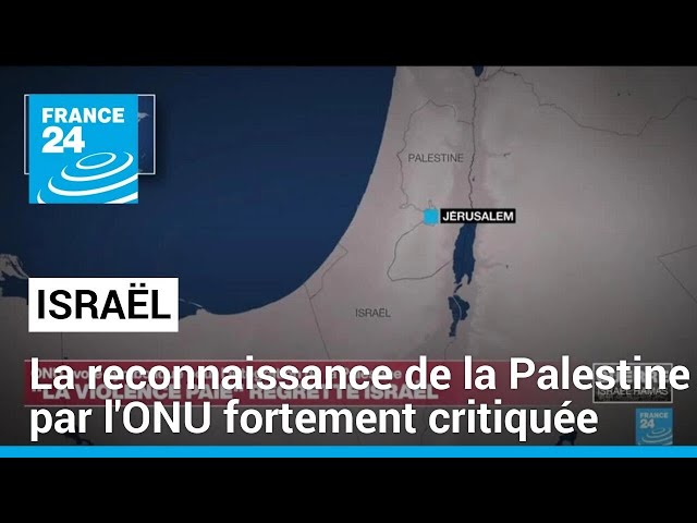 ⁣Reconnaissance de la Palestine à l'ONU : les autorités israéliennes fulminent • FRANCE 24