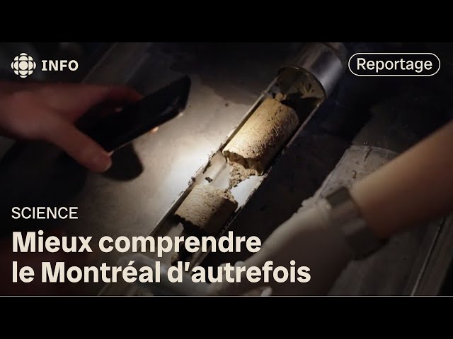 ⁣Analyse des microbes anciens de Montréal | Découverte