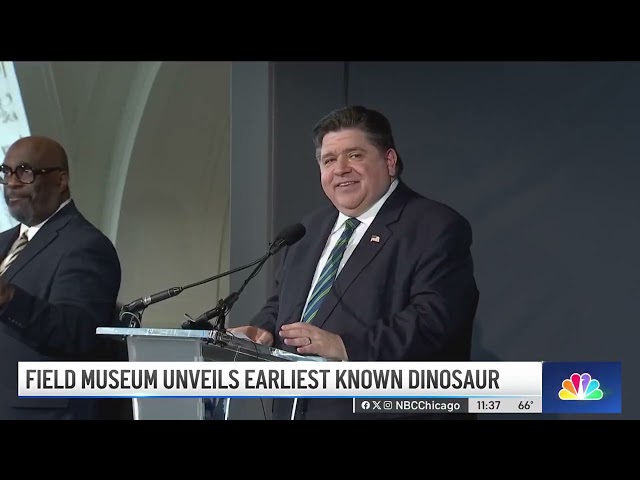 ⁣‘World’s most important fossil' unveiled at Chicago's Field Museum