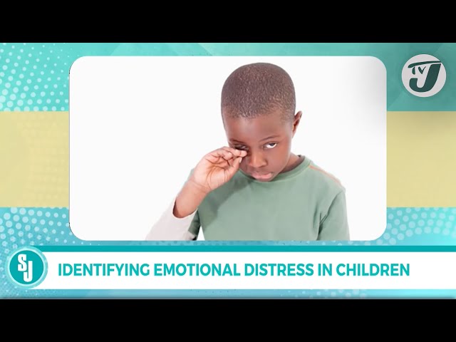 Identifying Emotional Distress in Children with Judine Webb Brown | TVJ Smile Jamaica