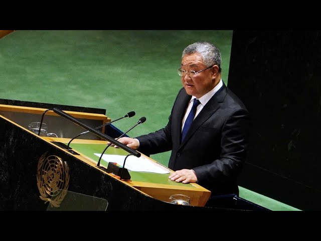 ⁣الصين تؤيد إعادة نظر مجلس الأمن في طلب فلسطين لعضوية الأمم المتحدة