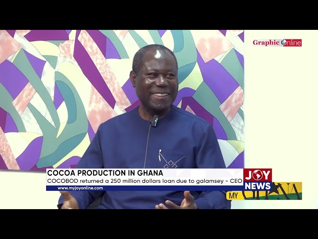 ⁣Cocoa Production in Ghana: COCOBOD returned a 250 million dollar loan due to galamsey - CEO.