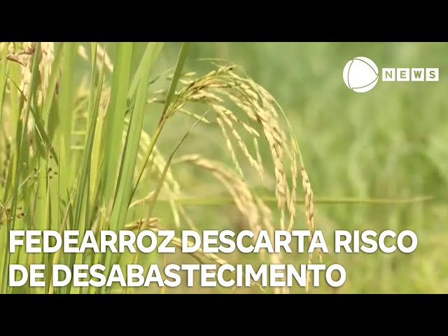 ⁣Não há risco de desabastecimento de arroz no Brasil, diz presidente da Federarroz