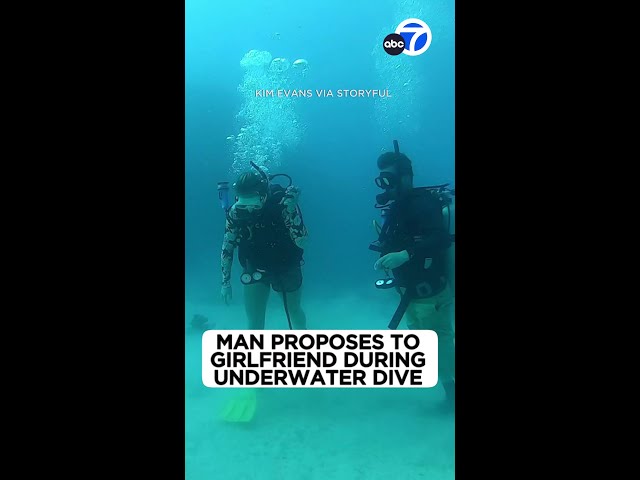⁣Man proposes to girlfriend during underwater dive