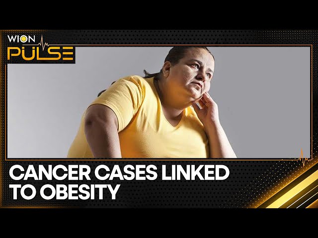 ⁣Study links half of all cancer cases to obesity | WION Pulse