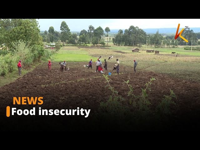 ⁣Farmers counting losses from various pars of the country due to heavy rains