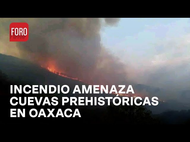 ⁣Incendio forestal del valle de Tlacolula amenaza sitios patrimoniales de Oaxaca - Sábados de Foro