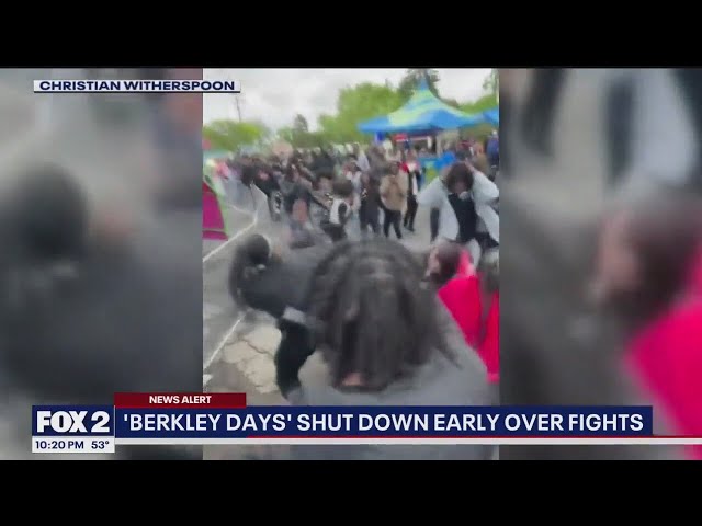 ⁣Fights break out at Berkley Days