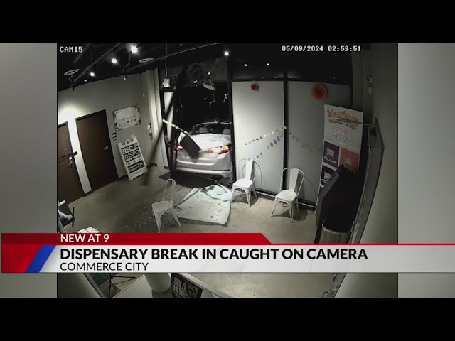 ⁣'Their mission is to destroy': video shows thieves use car to break into Commerce City dis