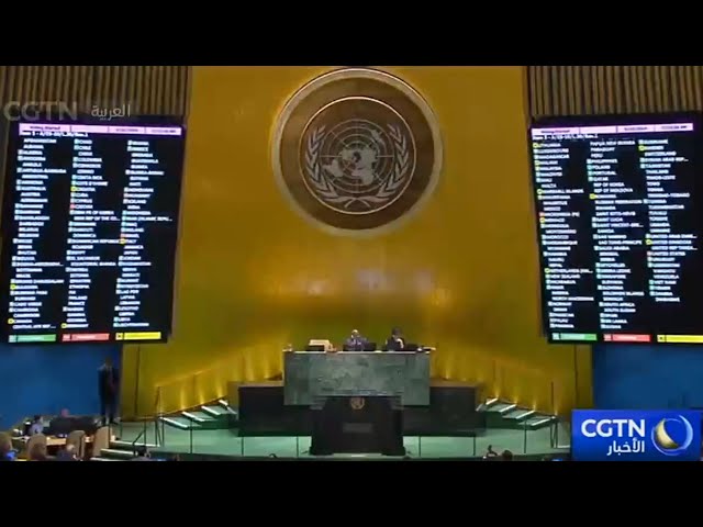 ⁣الجمعية العامة للأمم المتحدة تدعم طلب فلسطين للحصول على عضوية المنظمة
