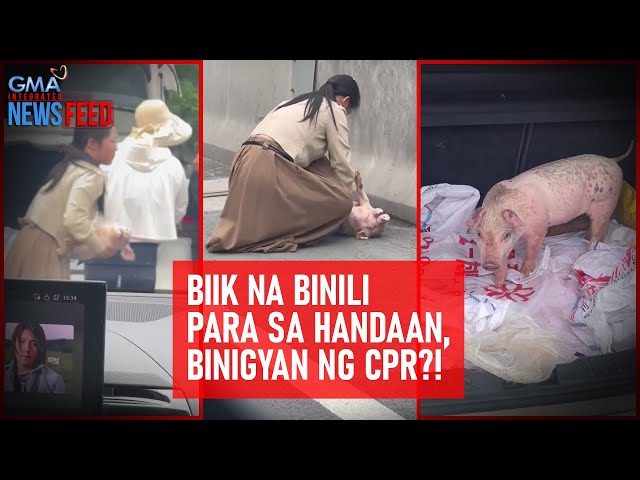 ⁣Biik na binili para sa handaan, binigyan ng CPR?! | GMA Integrated Newsfeed
