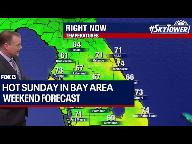 ⁣Tampa weather: Less humidity on Sunday