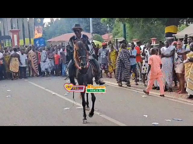 ⁣Beautiful cultural display. This horse dances to the tune of the drums. #25Anniversary #JoyNews