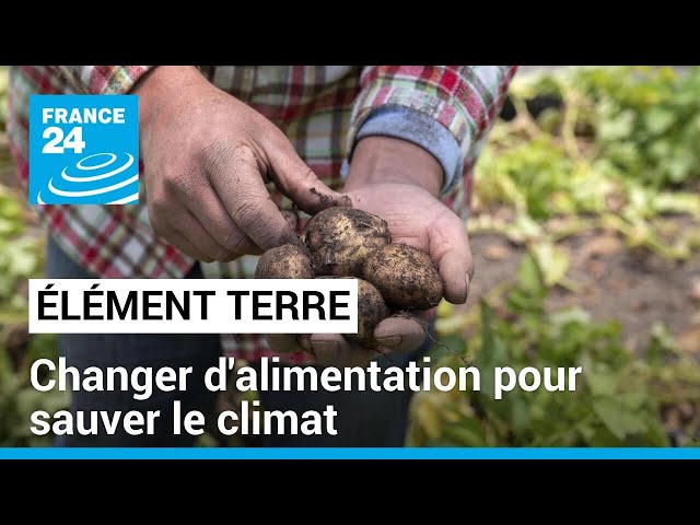 ⁣La Banque Mondiale appelle à une révolution agricole pour sauver le climat • FRANCE 24