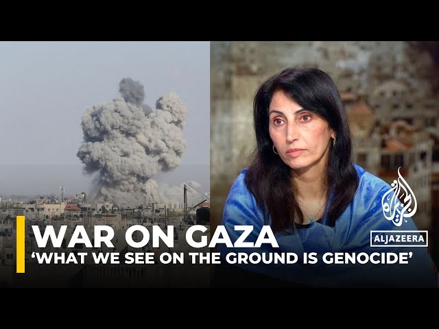 ‘Israeli actions in Gaza amount to genocide,’ says former PLO legal advisor