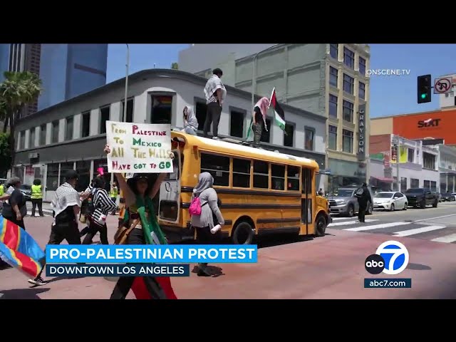 ⁣Pro-Palestinian demonstration in DTLA shuts down busy intersection