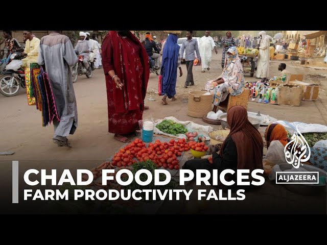 ⁣Chad food prices: Millions go hungry as farm productivity falls