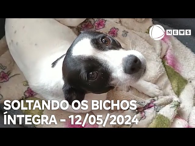 ⁣Soltando os Bichos - 12/05/2024