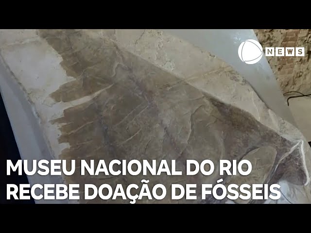 ⁣Museu Nacional do Rio de Janeiro recebeu grande doação de fósseis de uma família suíça-alemã