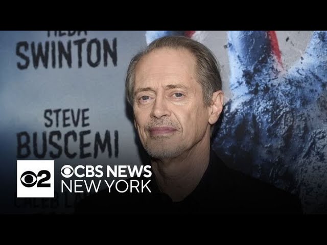 ⁣Actor Steve Buscemi randomly punched in Manhattan